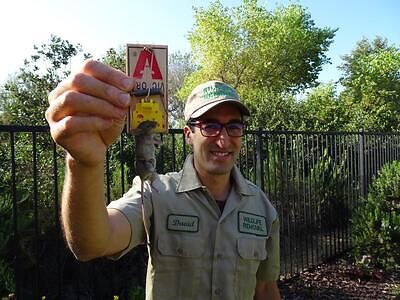 Harrisburg pest control